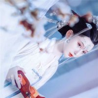 内蒙古人大常委会原副主任王波被查