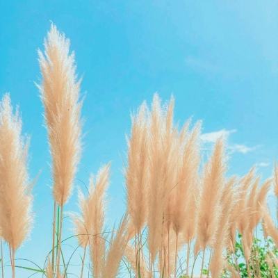 两部门印发通知 做好节假日期间新能源汽车充电保障