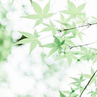 广西首个全域土地综合整治项目获5.2亿元政策性金融资金支持