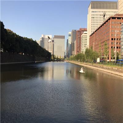 “海口杯”篮球联赛美兰赛区正赛热力开赛