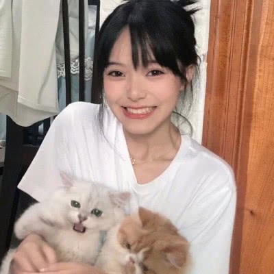 软件合集官网