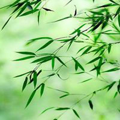 太火爆 “一单难求”！网友：犹豫一秒都是对它的不尊重
