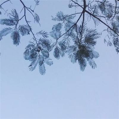撩衣晒背？在公共空间不能没有边界意识