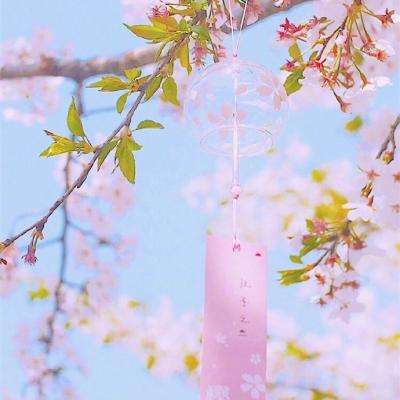 中国反兴奋剂中心：要求对USADA掩盖兴奋剂违规案件开展独立调查