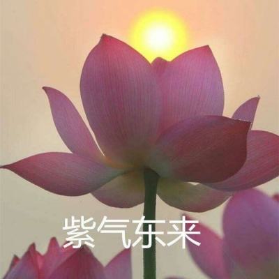 美媒：特朗普竞选办公室被盗