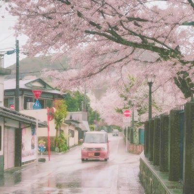 江苏：句容茅山风景区涌现“春游热”