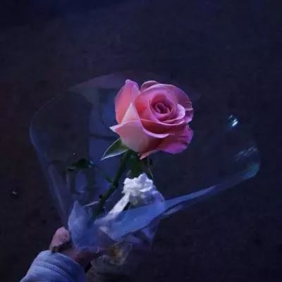 【风口解读】华测检测上半年净利同增1.97%，称二季度整体经营状况向好
