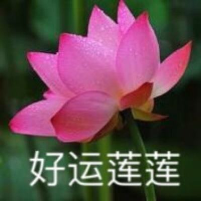 WTT重庆冠军赛：王楚钦、樊振东晋级男单半决赛